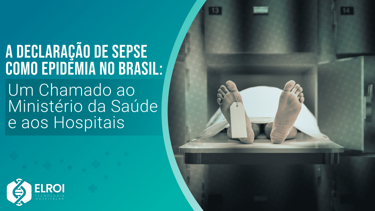 A Declaração de Sepse como Epidemia no Brasil: Um Chamado ao Ministério da Saúde e aos Hospitais Elroi Medical