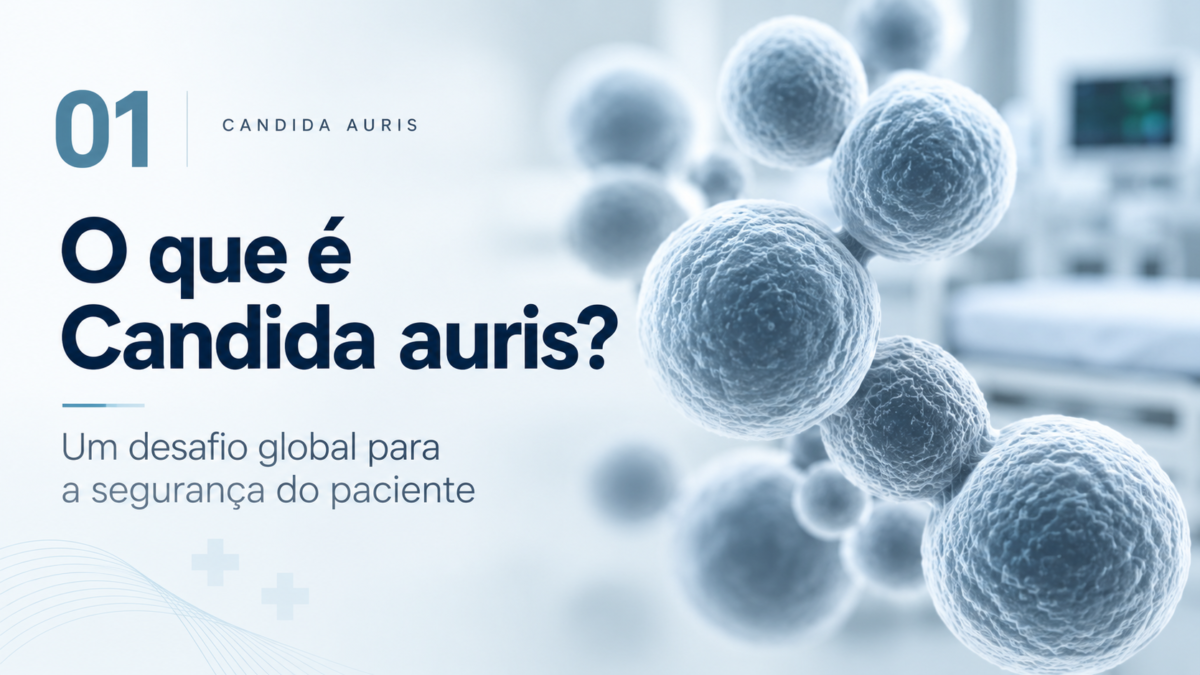 Candida auris expõe uma fragilidade da limpeza hospitalar: o que acontece entre duas desinfecções?